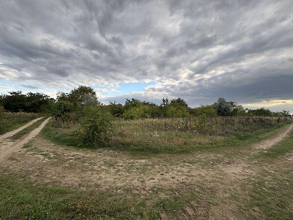 Alsónémedi 2. képe