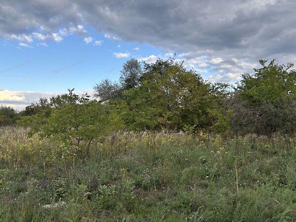 Alsónémedi 3. képe