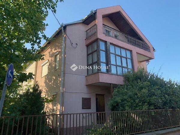 Eötvös József, Tata képe