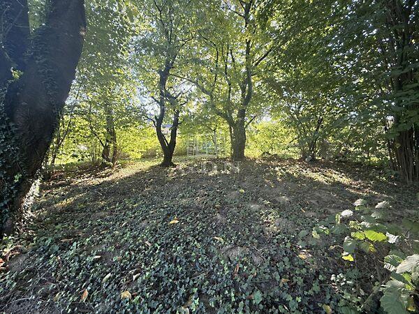 Csendes, Zalaegerszeg képe