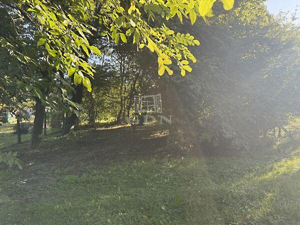 Csendes, Zalaegerszeg 2. képe