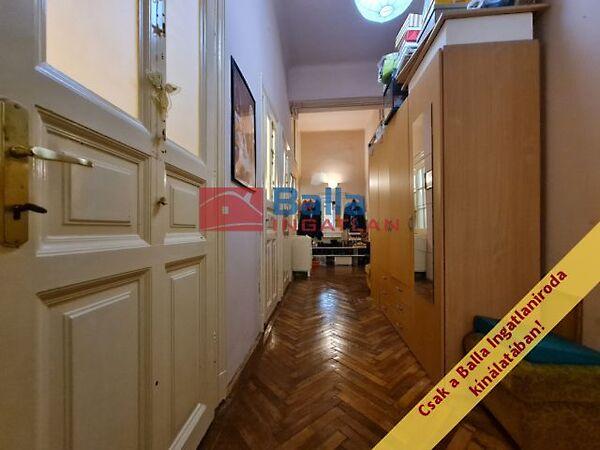 Leonardo da Vinci, Budapest, VIII. kerület 3. képe