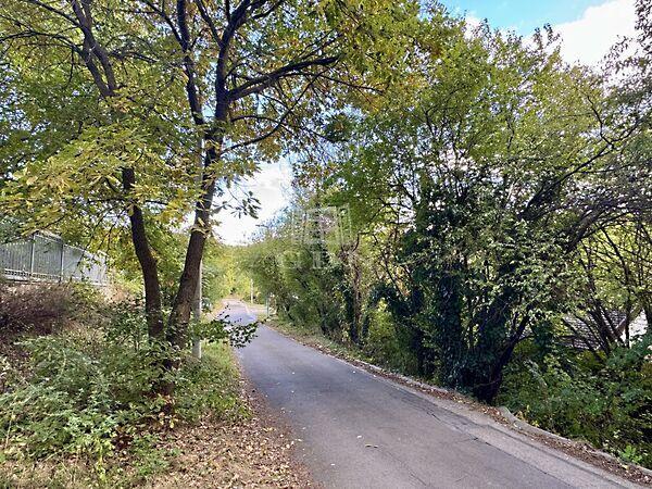 Harkály, Budaörs képe