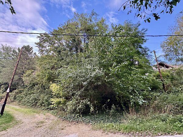 Harkály, Budaörs 3. képe