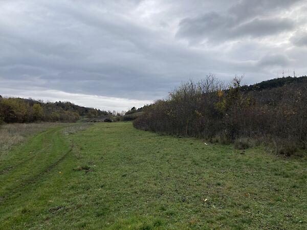 Aranyház, Tihany képe