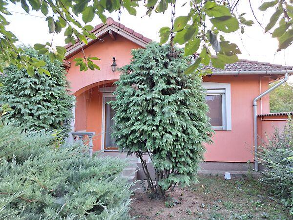 Fő, Szeged 2. képe