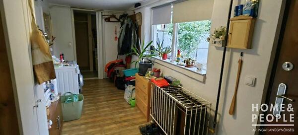 Tiszasziget 2. képe