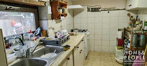 Tiszasziget 3. képe