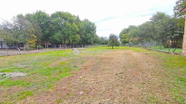 Kossuth Lajos, Rábapaty képe