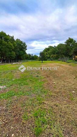 Kossuth Lajos, Rábapaty 2. képe