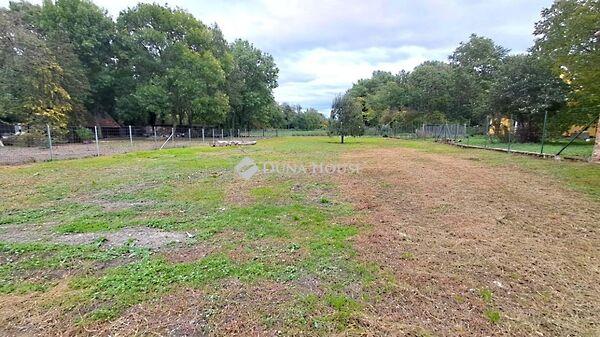 Kossuth Lajos, Rábapaty 3. képe