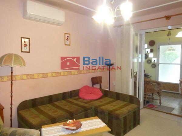 Nyúl, Tiszakécske 2. képe