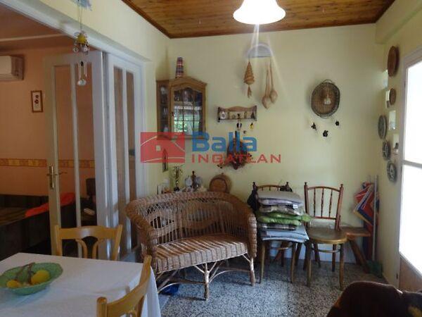 Nyúl, Tiszakécske 3. képe