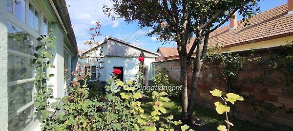 Tej, Jászberény 2. képe