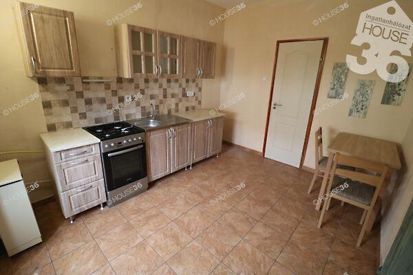 Széchenyi István, Kiskunfélegyháza 2. képe