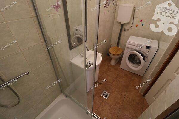 Széchenyi István, Kiskunfélegyháza 3. képe