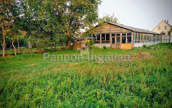 Sárszentmihály képe