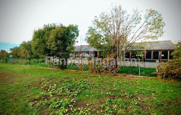 Sárszentmihály 2. képe