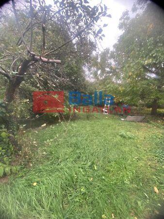 Pázmány Péter, Budapest, XV. kerület képe