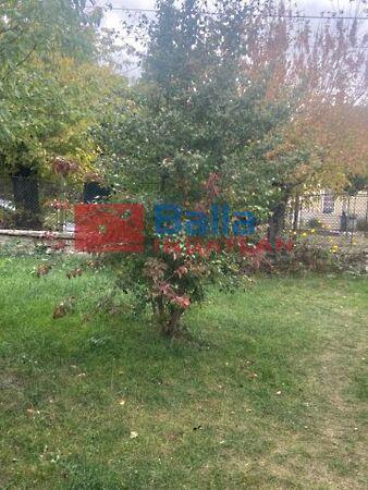 Pázmány Péter, Budapest, XV. kerület 3. képe