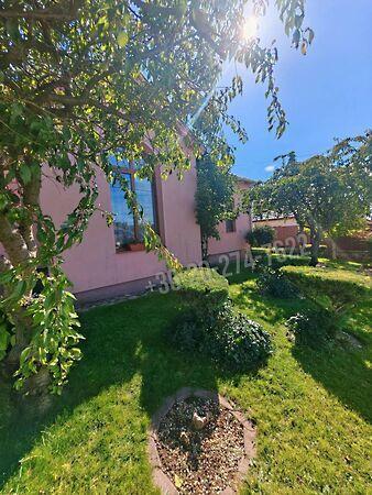 Felsőtárkány képe