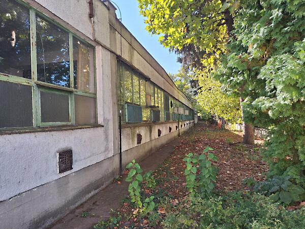 Szentesi, Csongrád 2. képe