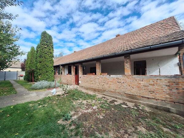 Róka, Hódmezővásárhely képe