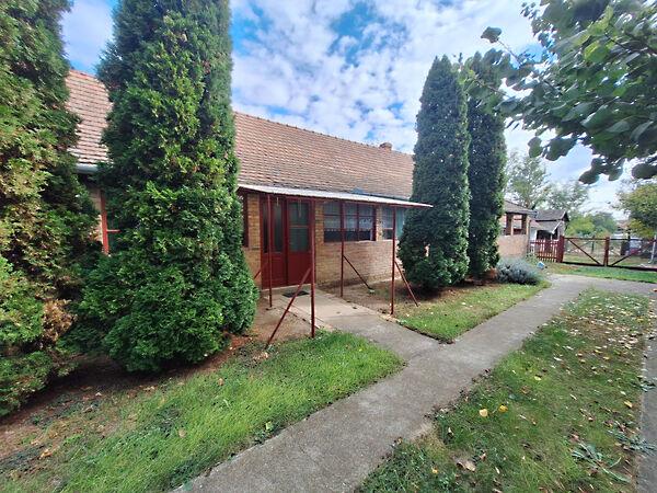 Róka, Hódmezővásárhely 2. képe