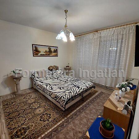 Sólyom, Debrecen képe