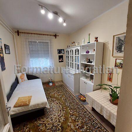 Sólyom, Debrecen 2. képe