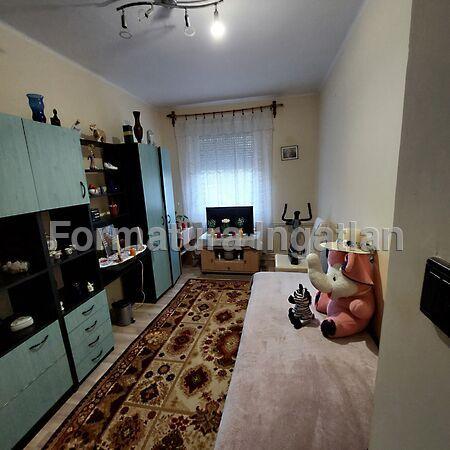 Sólyom, Debrecen 3. képe