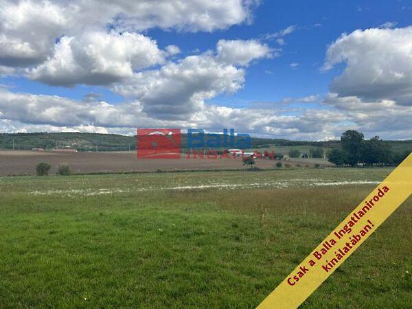 Őrbottyán lankás legelőin, Őrbottyán 2. képe