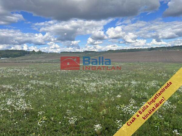 Őrbottyán lankás legelőin, Őrbottyán 3. képe