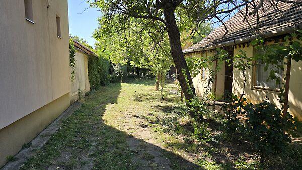 Vásár, Mezőtúr 2. képe