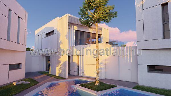 Reményik S., Kaposvár képe