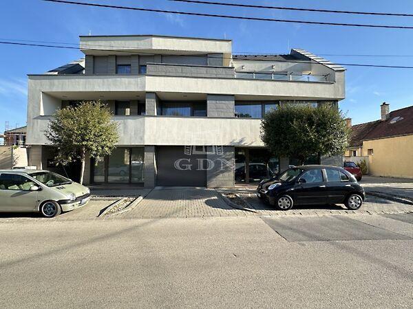 Móricz Zsigmond, Székesfehérvár képe