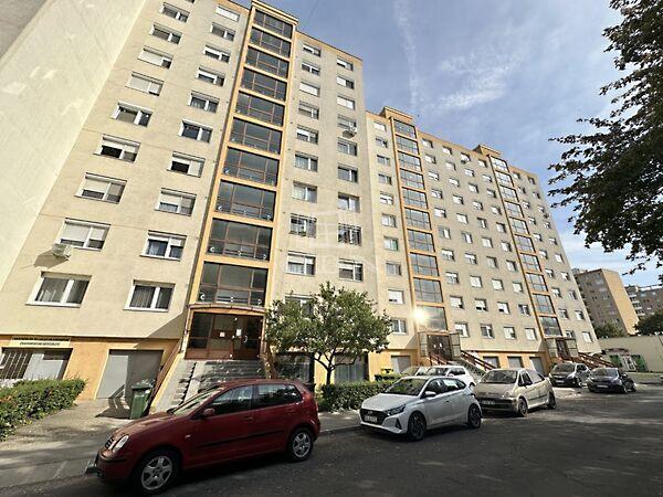 Semmelweis Ignác, Székesfehérvár képe