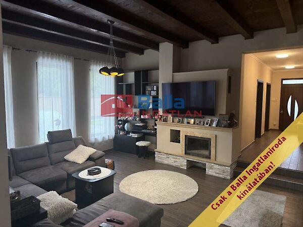 Dunaparthoz közel, Szigetszentmiklós 2. képe