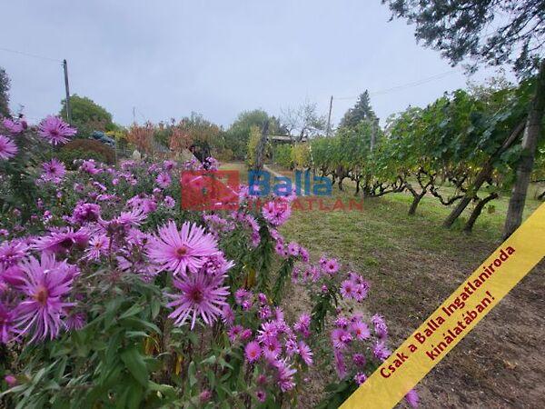 HÉV-állomás, Mogyoród képe