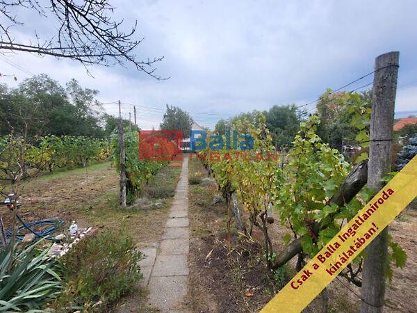 HÉV-állomás, Mogyoród 3. képe