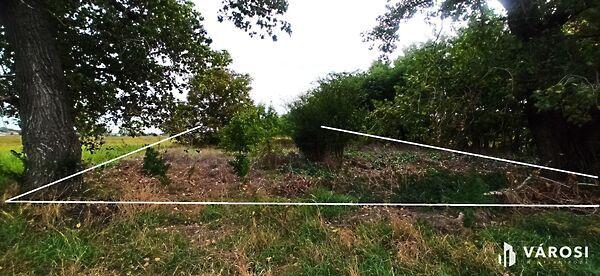 Szigetszentmiklós képe