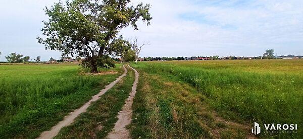 Szigetszentmiklós 3. képe