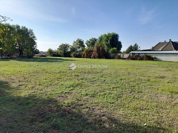 Trófea, Békéscsaba 3. képe