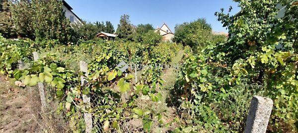 Frankel Leó, Tata 3. képe