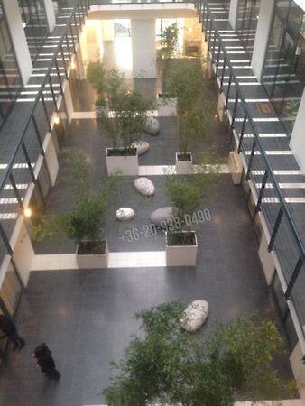 Thaly Kálmán, Budapest, IX. kerület 2. képe