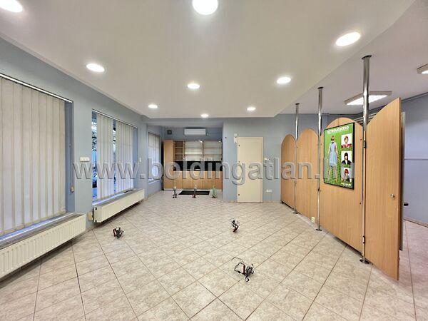 Irányi D., Kaposvár 2. képe