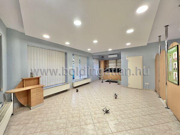 Irányi D., Kaposvár 3. képe