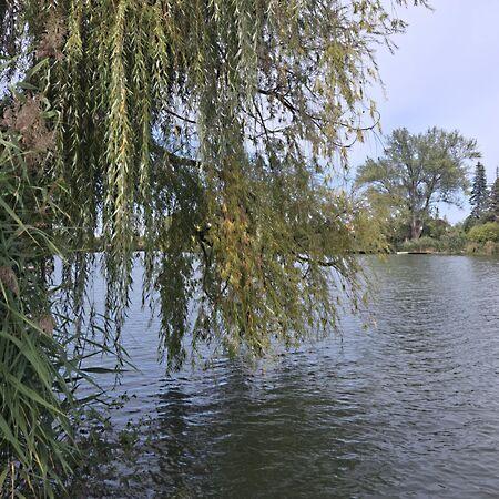 Békésszentandrás 3. képe