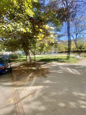 Bartók Béla, Budapest, XI. kerület 3. képe