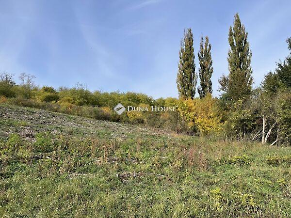 Királyvölgy, Tinnye 2. képe